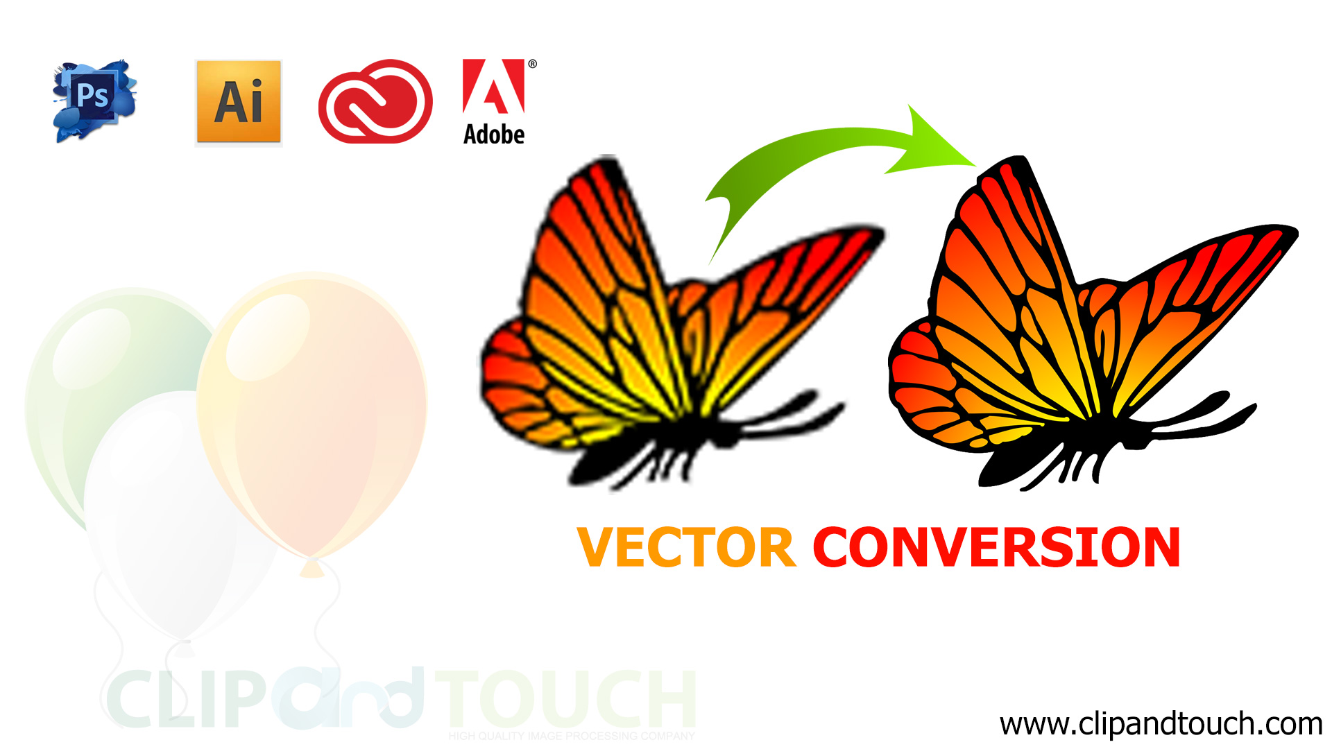 Vector Conversion Service